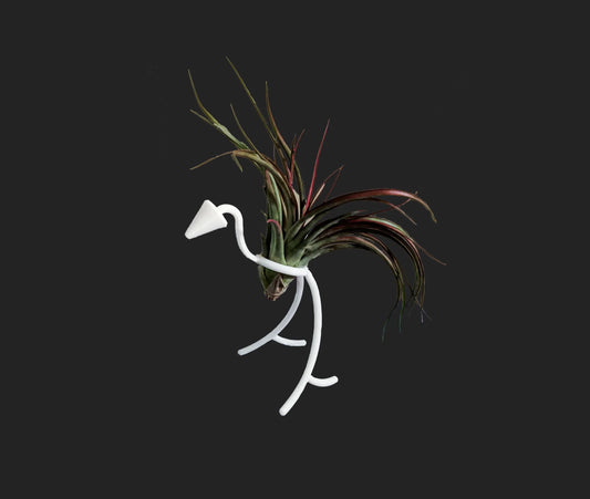 Suport plante aeriene - 3dmarket.ro